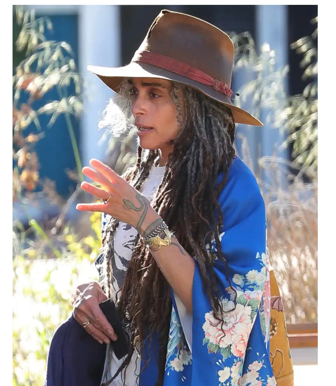 Lisa Bonet
