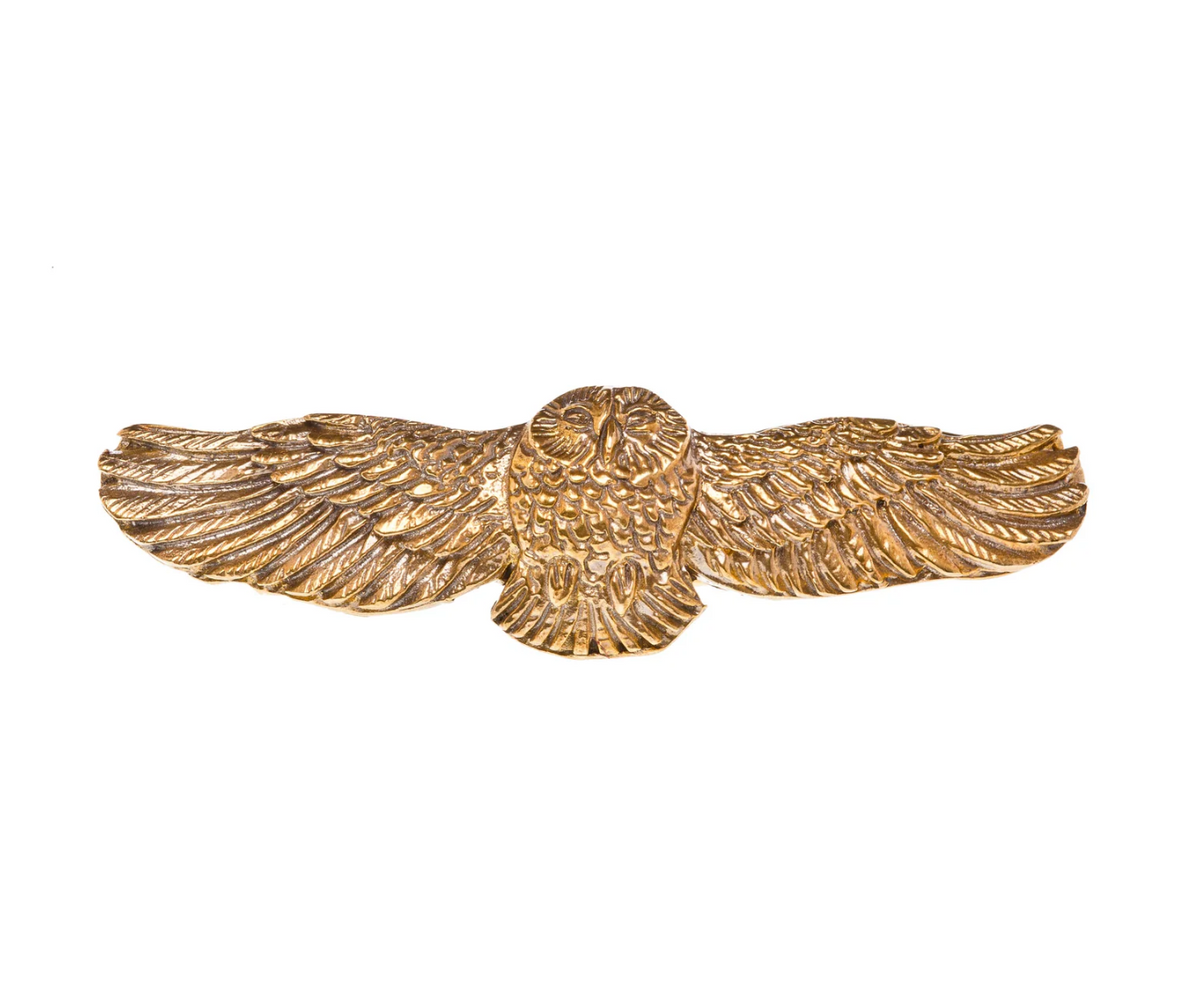 Owl Medicine