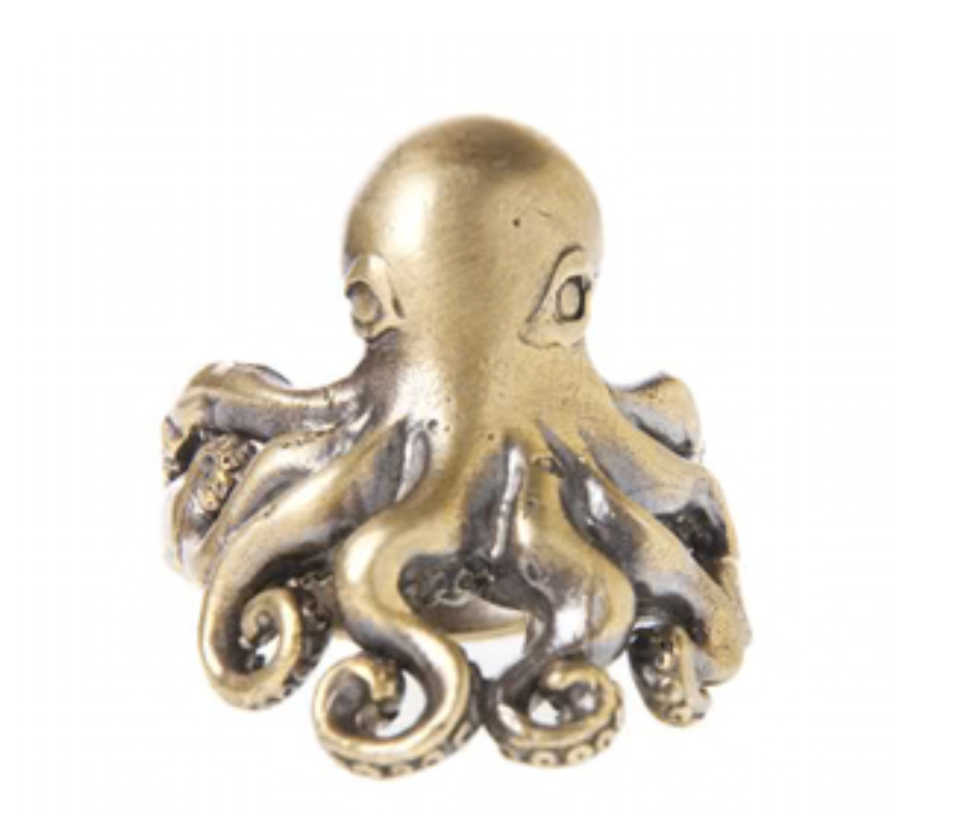 Enchanted By The Sea