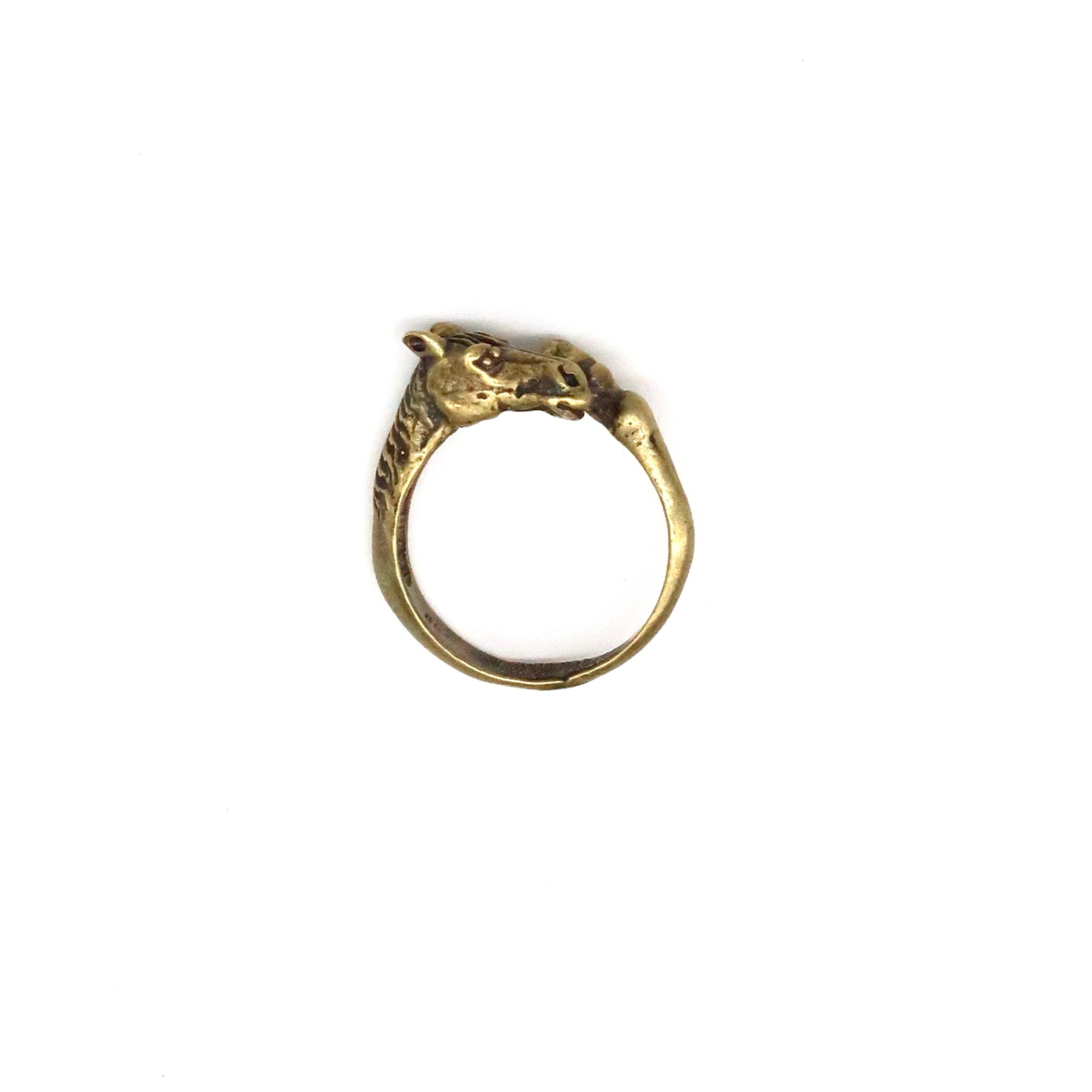 Horse With Hoof Ring