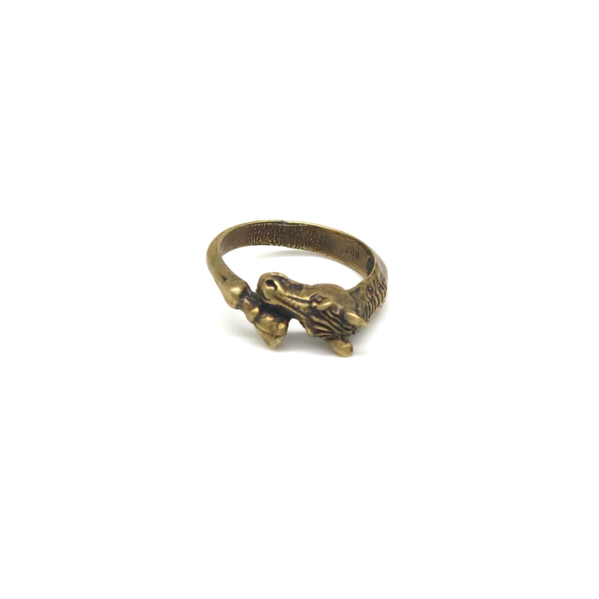 Horse With Hoof Ring