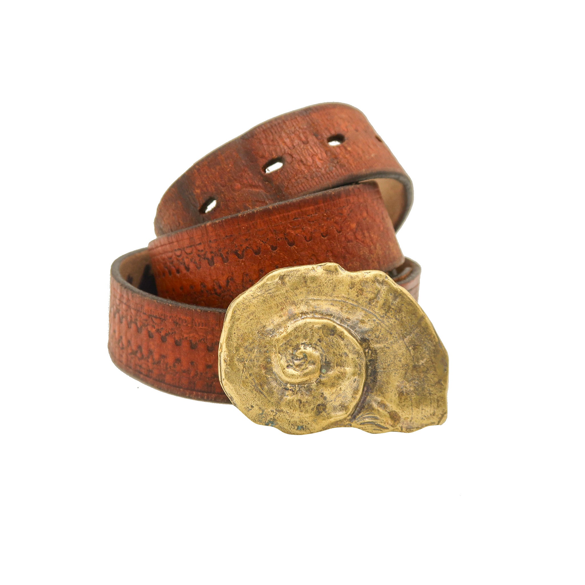 Ammonite Belt