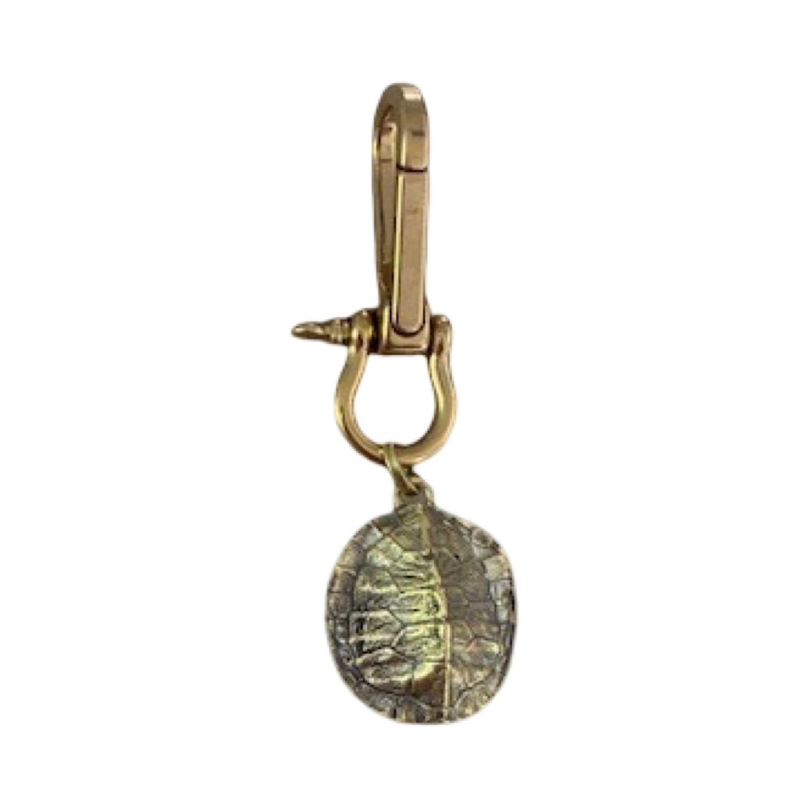 3 in 1 Turtle Talisman