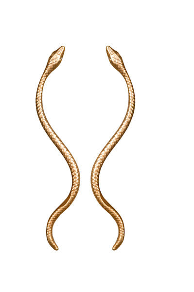 New Snake Earrings