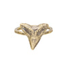 Image of Small Shark Tooth Ring