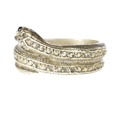 Snake Band