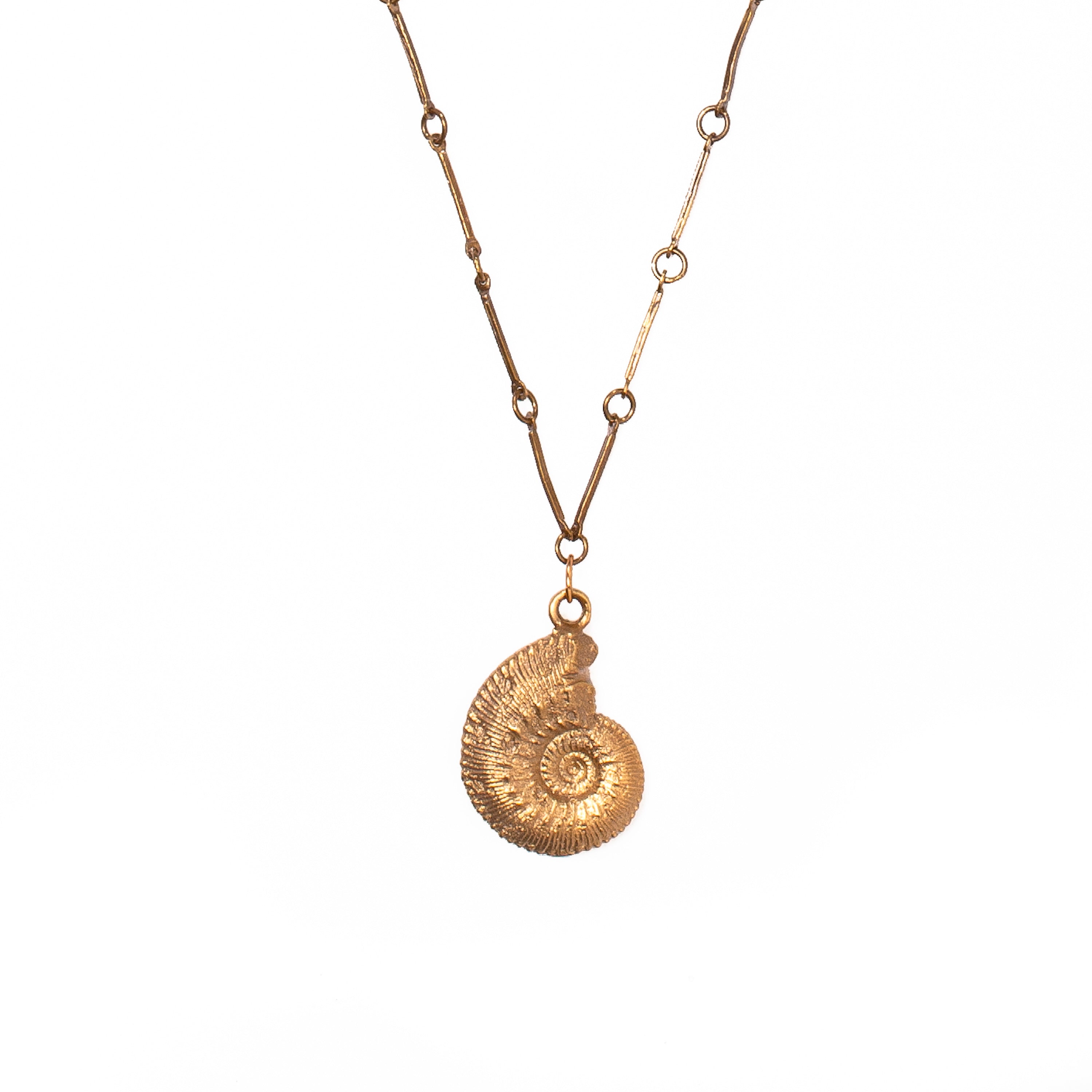 Ammonite Shell Necklace
