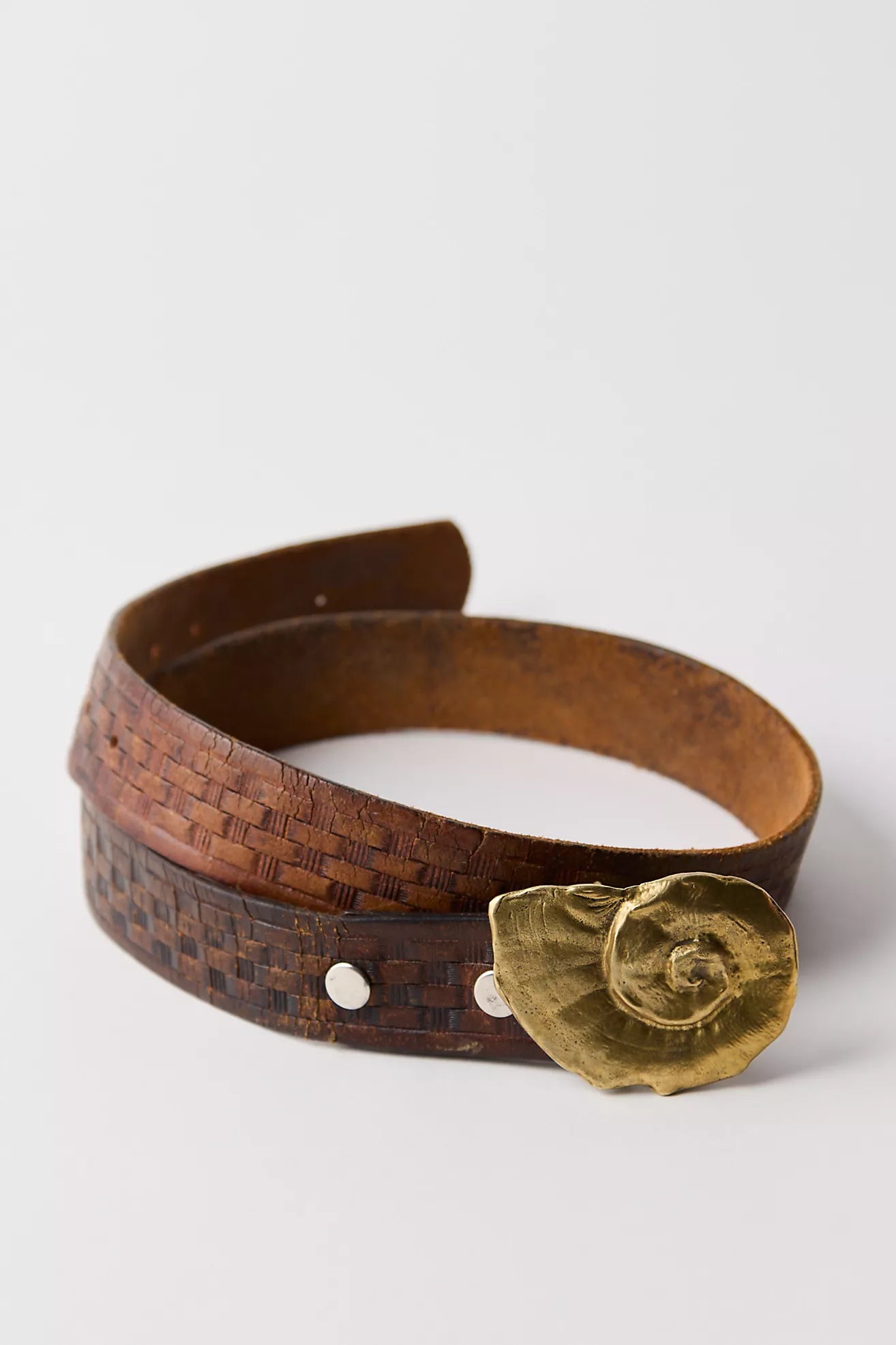 Ammonite Belt