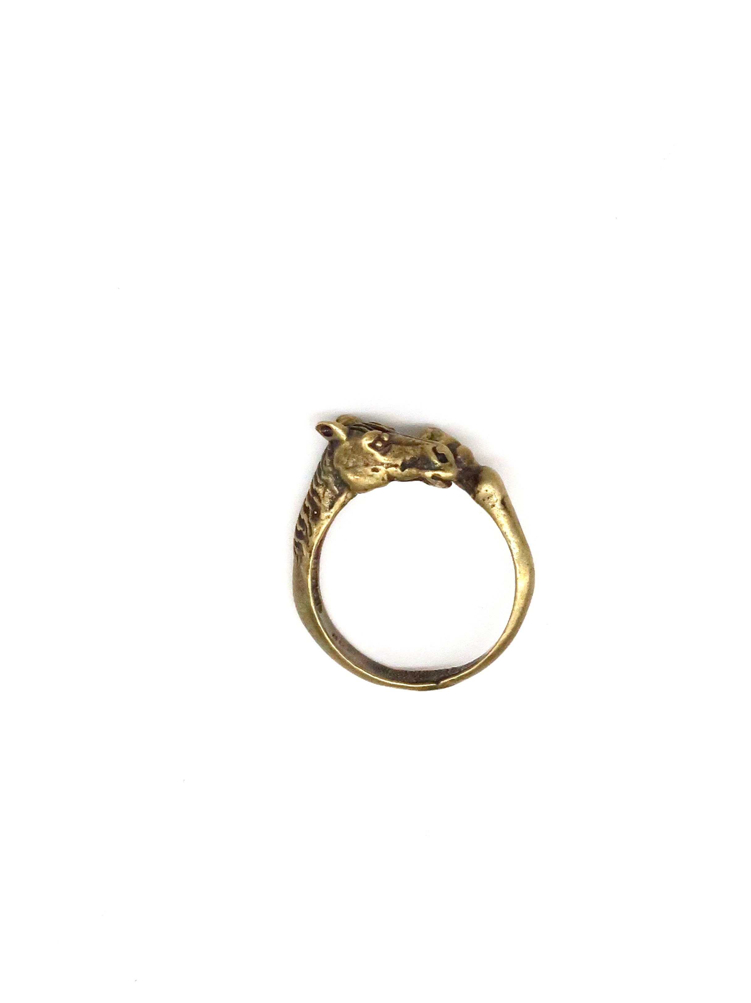 Horse With Hoof Ring
