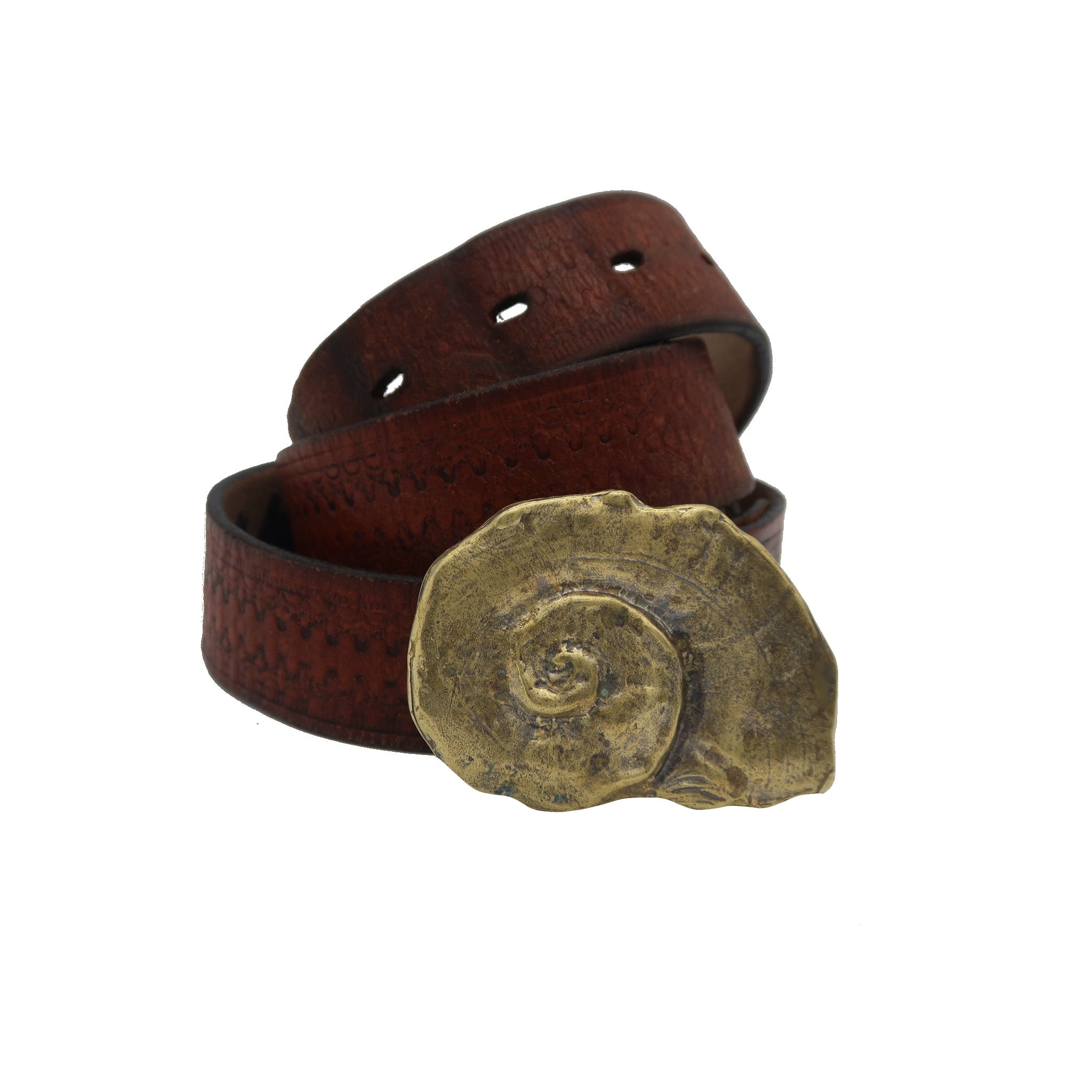 Ammonite Belt