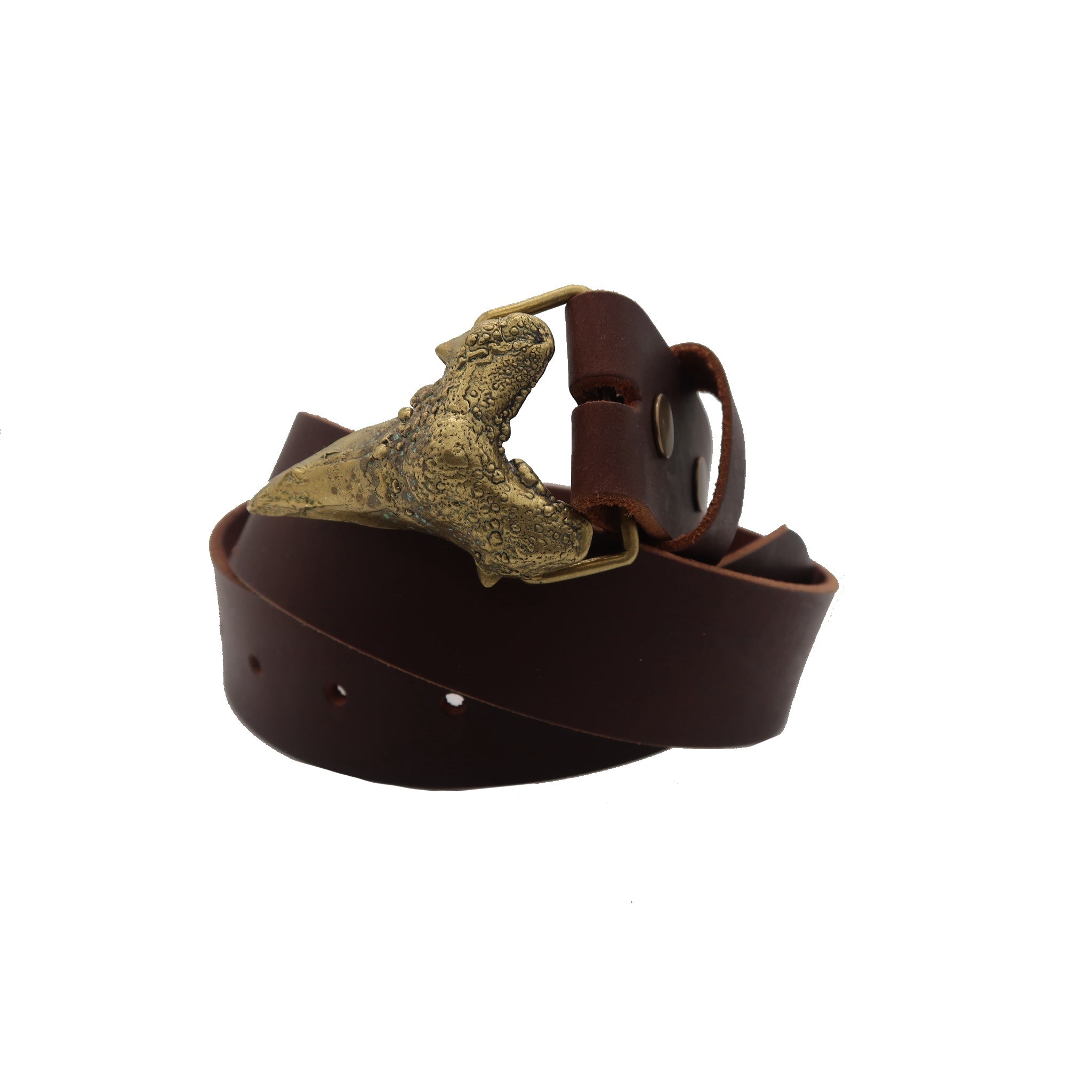 Shark Tooth Belt