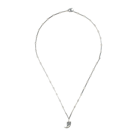 Sterling Silver Small Lion Claw Necklace