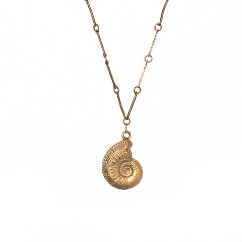 Ammonite Shell Necklace