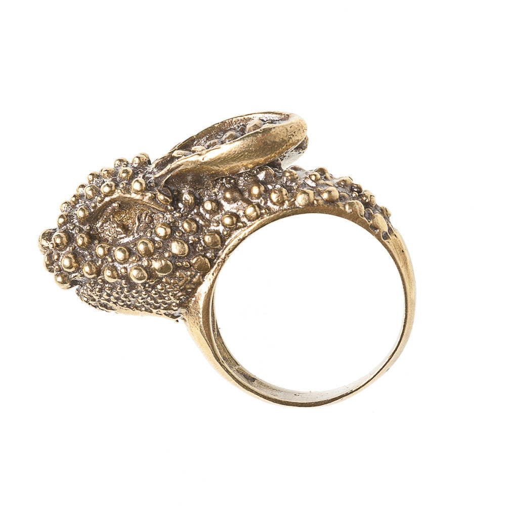 Rabbit Ring