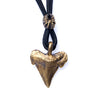Image of Shark Tooth Necklace